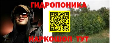 PSILOCYBIN Обнинск