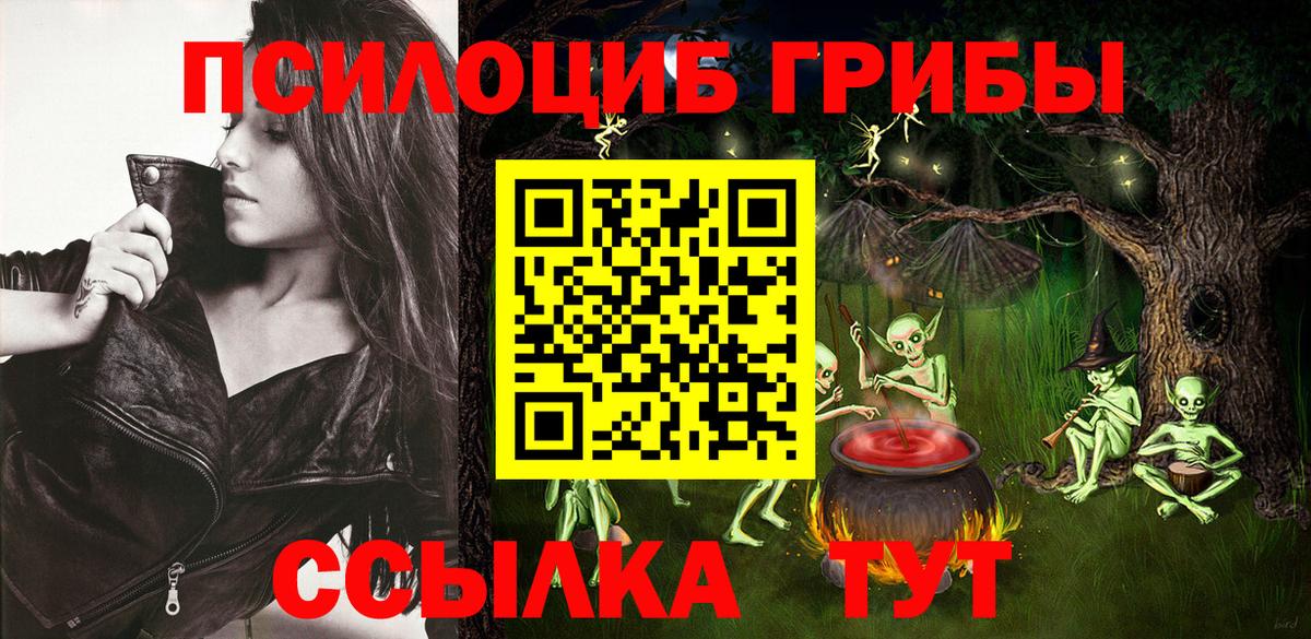 Псилоцибиновые грибы Psilocybine cubensis Трёхгорный